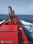 Trasportatore di merci sfuse in vendita