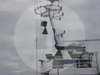 Trasportatore di pesce vivo in vendita