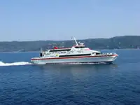 Catamarano in vendita