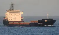 Portarinfuse in vendita