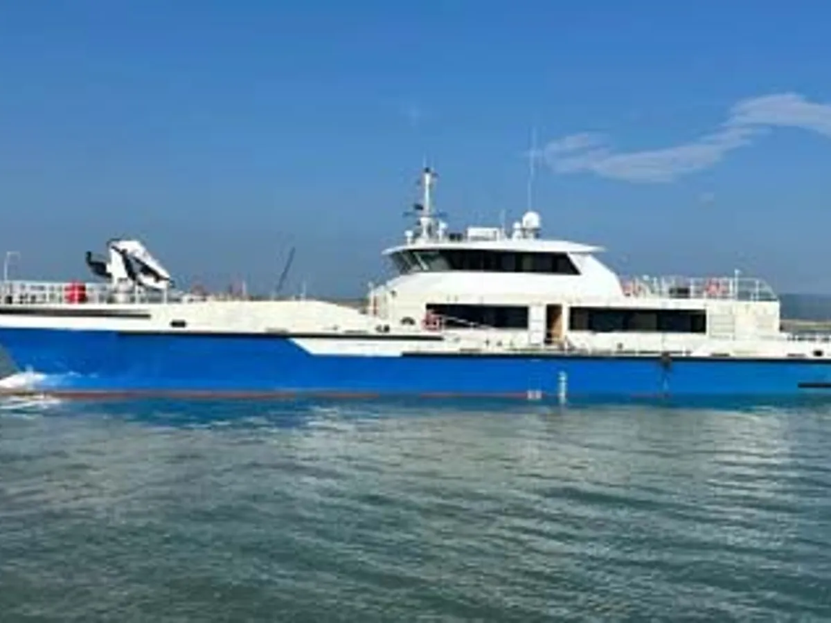 Catamarano in vendita