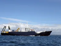 Nave di supporto in vendita