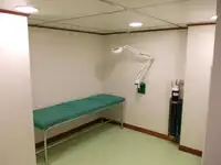 Trasportatore di merci sfuse in vendita