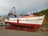 Peschereccio a strascico in vendita