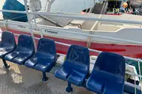Nave da crociera in vendita