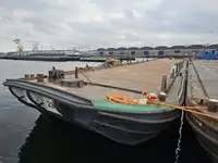Chiatta in vendita