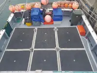 Peschereccio a palangaro in vendita