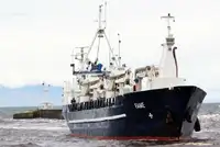 Trasportatore di merci sfuse in vendita