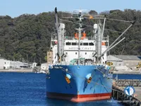 Nave refrigerata in vendita