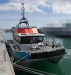 Nave di servizio per parchi eolici in vendita