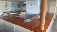 Catamarano in vendita