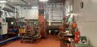 Draghe in vendita