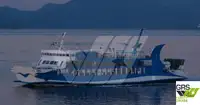 Nave Ro-Ro in vendita