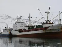 Nave refrigerata in vendita
