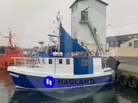 Portatore di pesci vivi in vendita