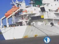 Nave refrigerata in vendita