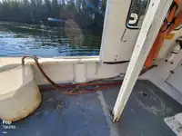 Nave per la lavorazione del pesce in vendita