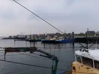Peschereccio a strascico in vendita