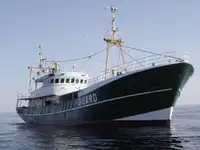 Piroscafo veloce (FSV) in vendita