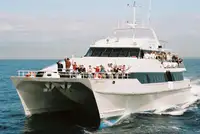 Catamarano in vendita