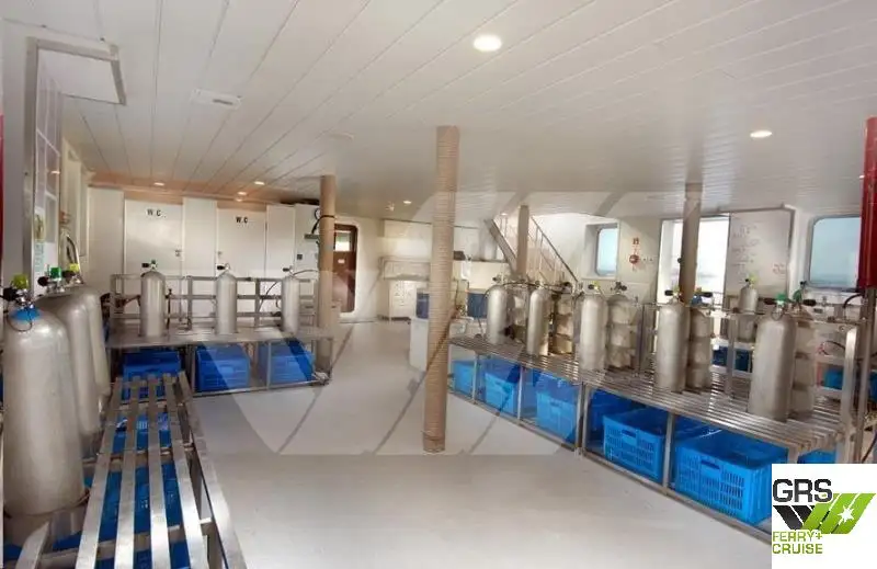 Nave da crociera in vendita