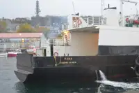 Nave Ro-Ro in vendita