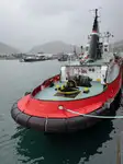Rimorchiatore in vendita