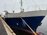 General Cargo/Multi-purpose in vendita