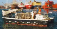Barche da lavoro in vendita