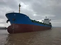 Portacontainer in vendita