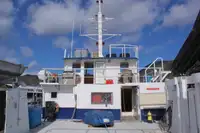 Catamarano in vendita