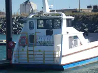 Nave da sbarco, con serbatoi in vendita