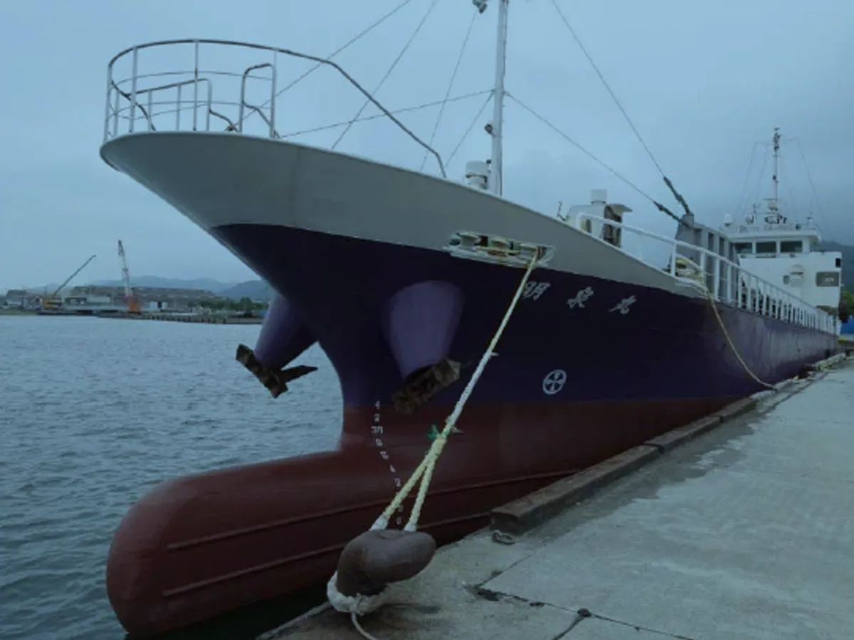 General Cargo/Multi-purpose in vendita