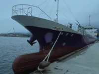 General Cargo/Multi-purpose in vendita
