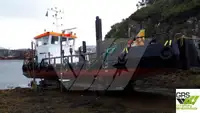 Barche da lavoro in vendita