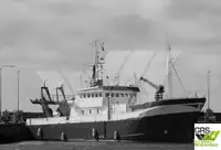 nave da ricognizione in vendita