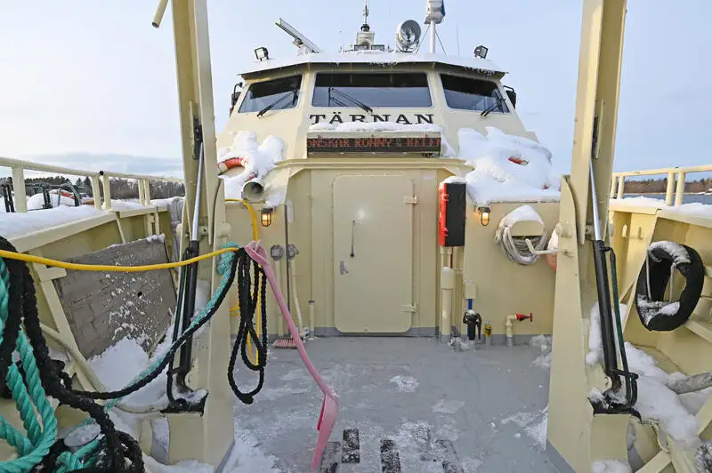 Nave da crociera in vendita