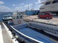 Barche da lavoro in vendita