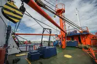 Portacontainer in vendita