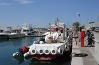 Barche da lavoro in vendita