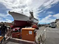 Peschereccio a strascico in vendita