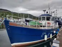 Piroga di pilotaggio in vendita