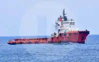 Trasportatore di merci sfuse in vendita