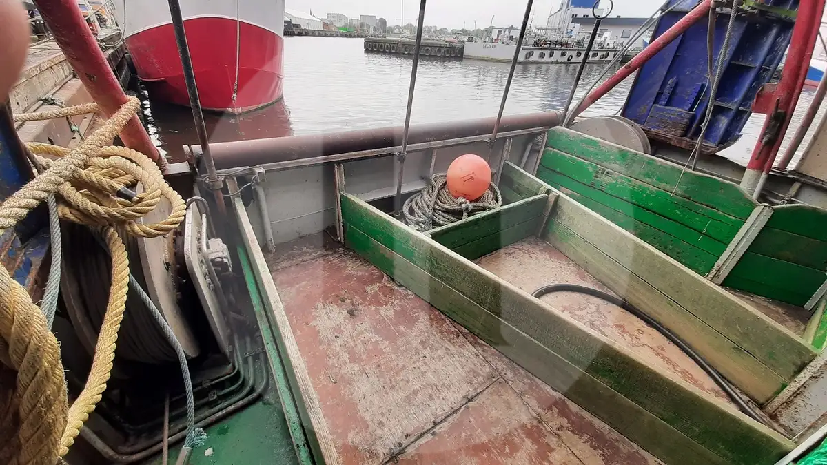 Trasportatore di pesce vivo in vendita