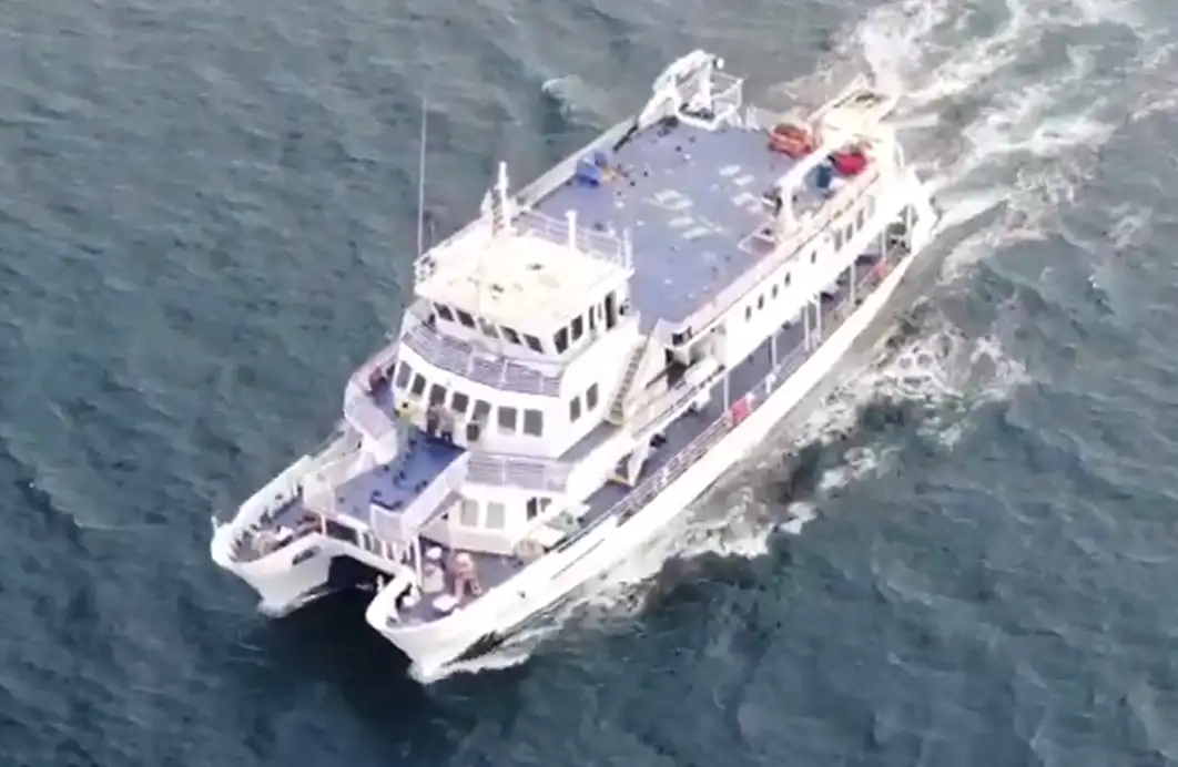 Catamarano in vendita