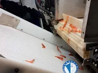 Peschereccio a strascico in vendita