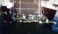 Barche da lavoro in vendita