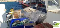 Nave di supporto in vendita