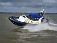 Portacontainer in vendita