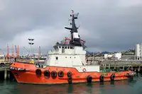 Rimorchiatore in vendita